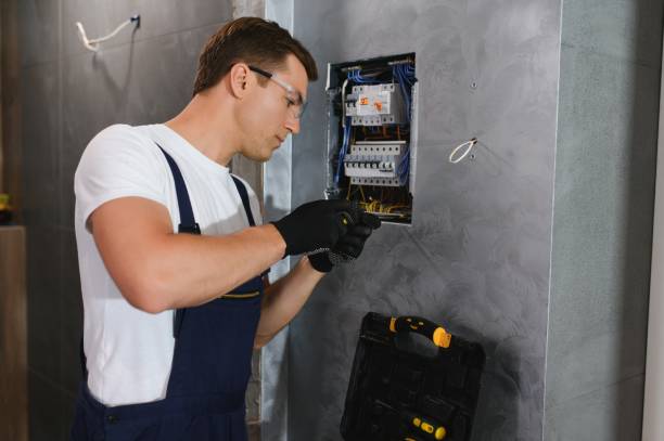 Best Electrical Troubleshooting Services  in Mount Olive, IL