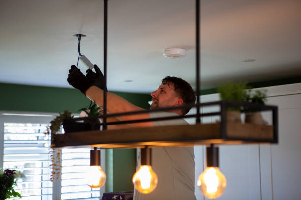 Best Electrician Near Me  in Mount Olive, IL