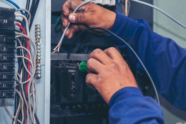 Best Electrical Repair Services  in Mount Olive, IL