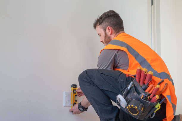 Best Electrician for Home Renovation  in Mount Olive, IL
